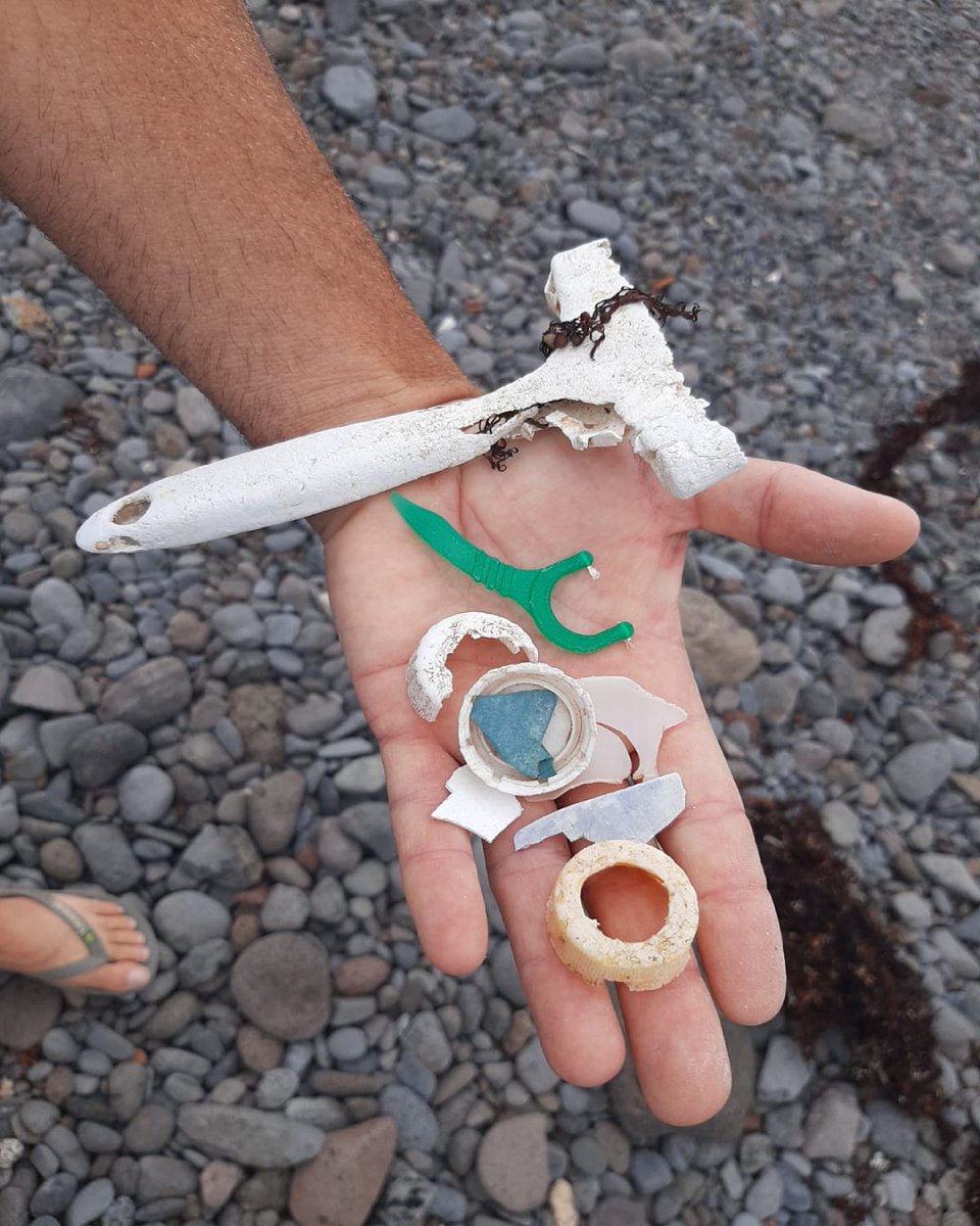 🚶🏽‍♀ El martes disfrutamos de una ruta de plogging con una limpieza de litoral entre el 📍 Faro de Punta del Hidalgo y el Charco de la Arena que forma parte del Plan de Acción Regional de Ecoáreas 🌊🌍

🙂 ¡Agradecemos a los vecinos y vecinas de Punta del Hidalgo su implicación!