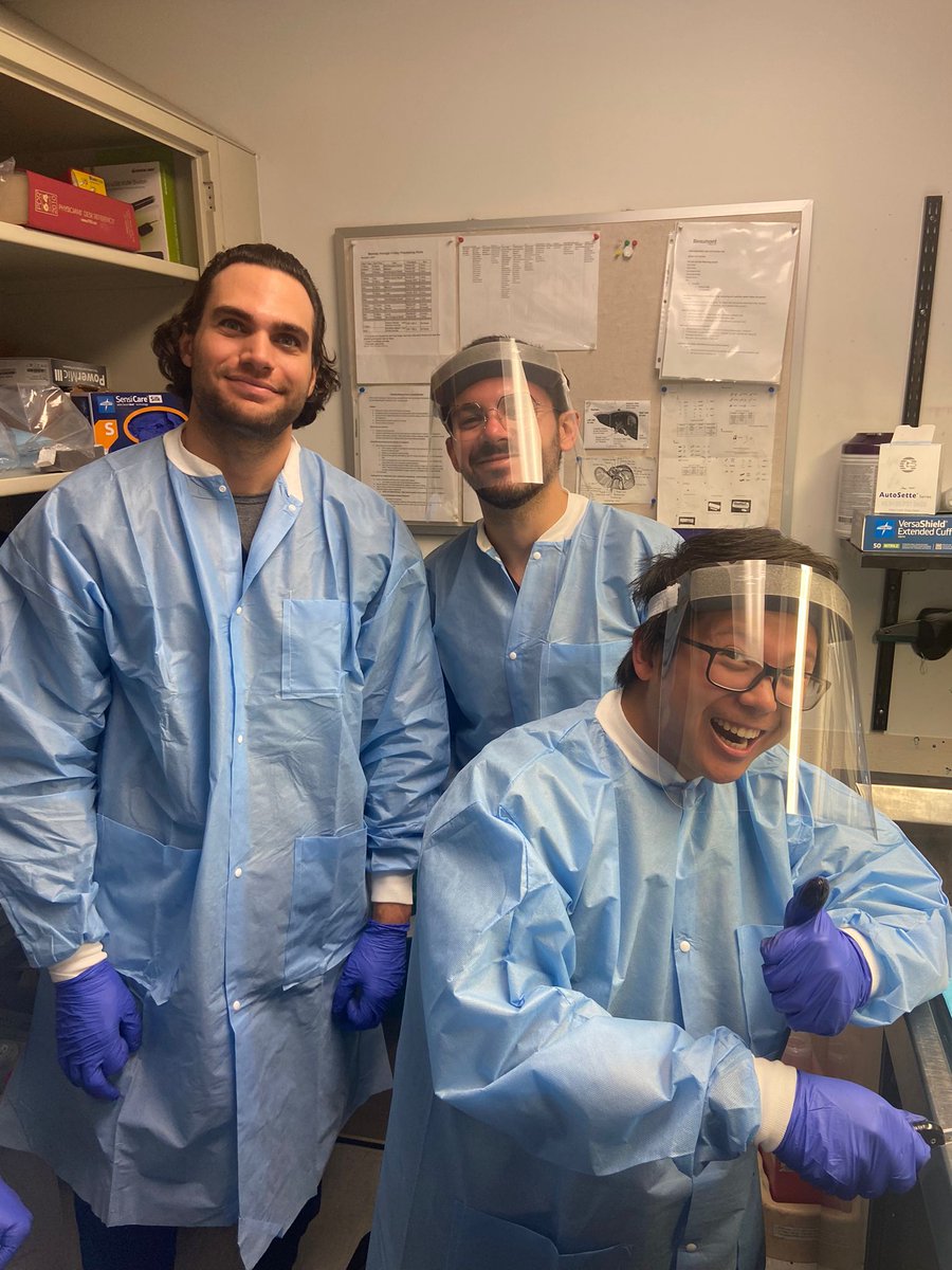 Beaumont, Royal Oak - Pathology Residency tweet media