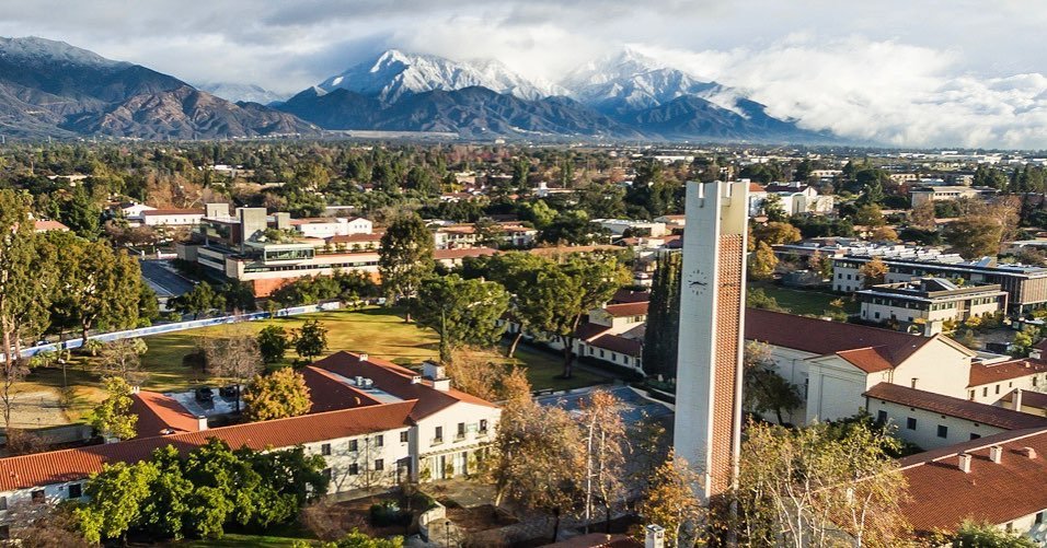 Dr. Jessie Stern tweet media