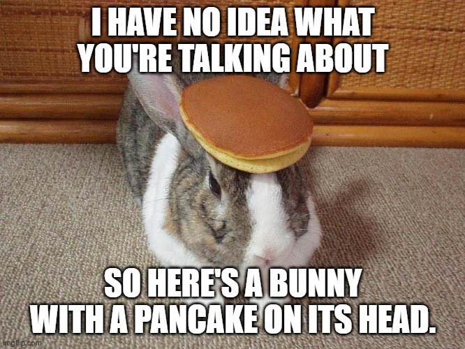 We can only imagine the thoughts of Sleepy Joe…

😴.

(PS the pancake bunny is an existing meme coin lol @bunnywiftoken)