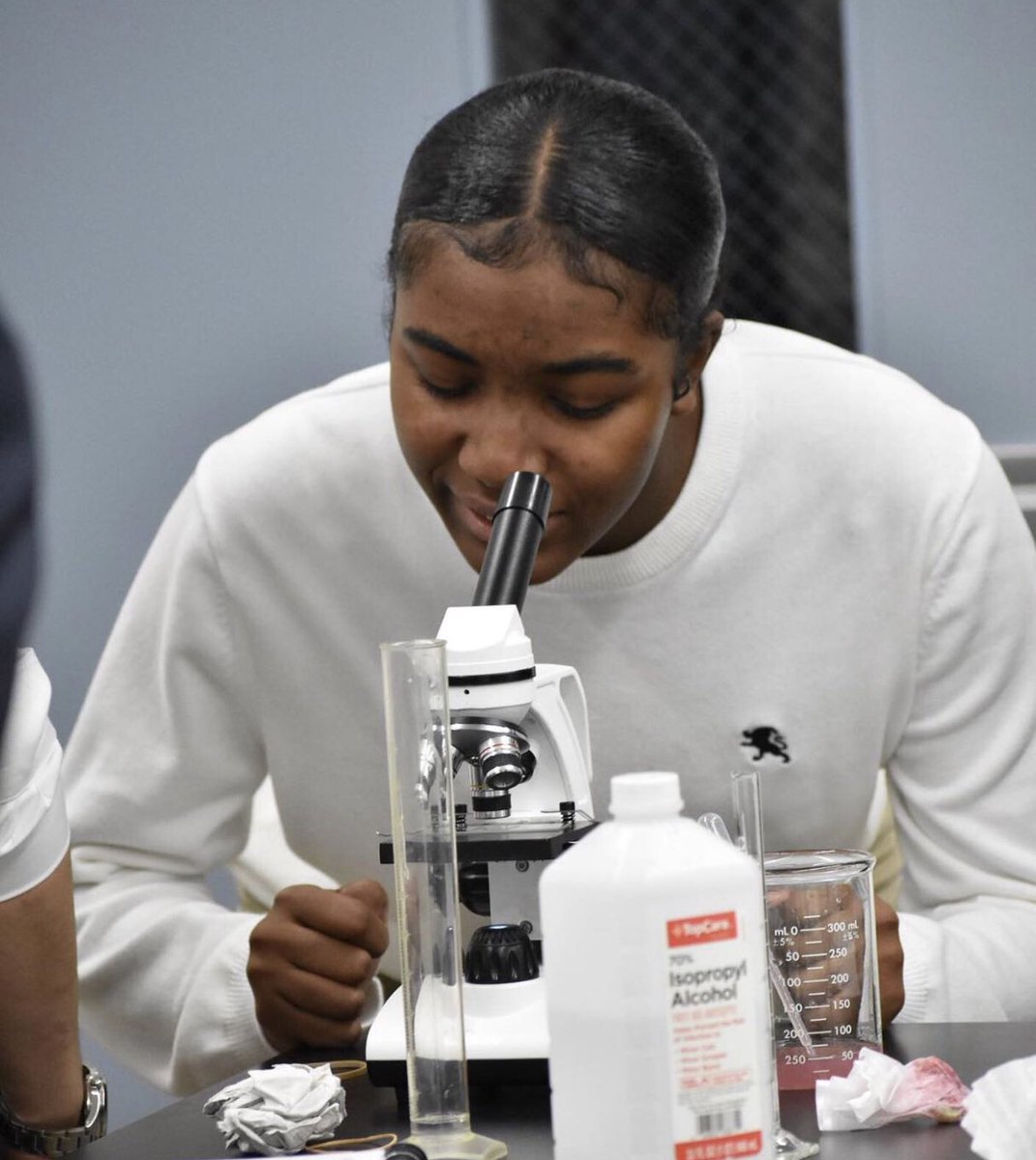 SteinerSchoolNY's tweet photo. THE SCIENCE LAB
The science curriculum in the high school intends to bring the student into a more conscious relationship with the world.
#steinerlab #steinerstudents #steinercurriculum #waldorfeducation #steinerupperschool #meetingtheadolescent #scienceclass https://t.co/ZrXGXk8bXj