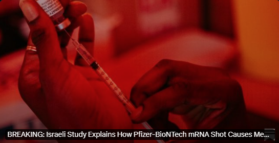 HeartsofOakUK's tweet photo. Israeli Study Explains How Pfizer-BioNTech mRNA Shot Causes Menstrual Irregularities
SONIA ELIJAH
JUN 30, 2024
https://t.co/UdU4oWqRdR
#pfizerbiontech #mrna #covidvaccinesideeffects
#menstrualirregularities https://t.co/Fy9GXjiUQZ