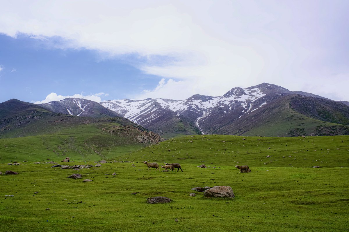 Pir Ki Gali-Shopian