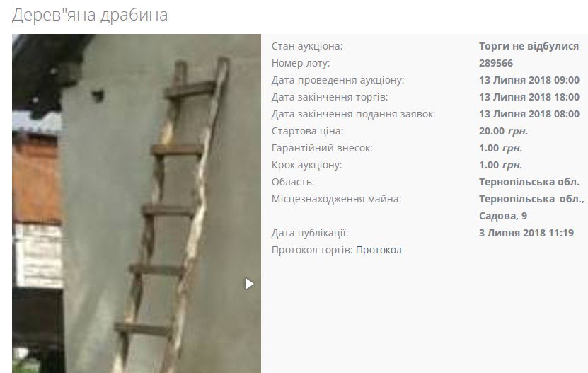 OpenSetamNotOf tweet picture