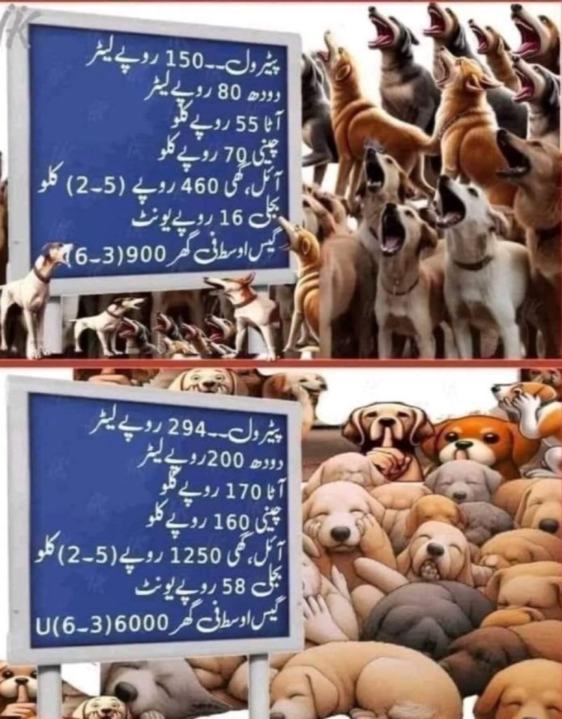 کیا یہ تصویر درست ہے؟