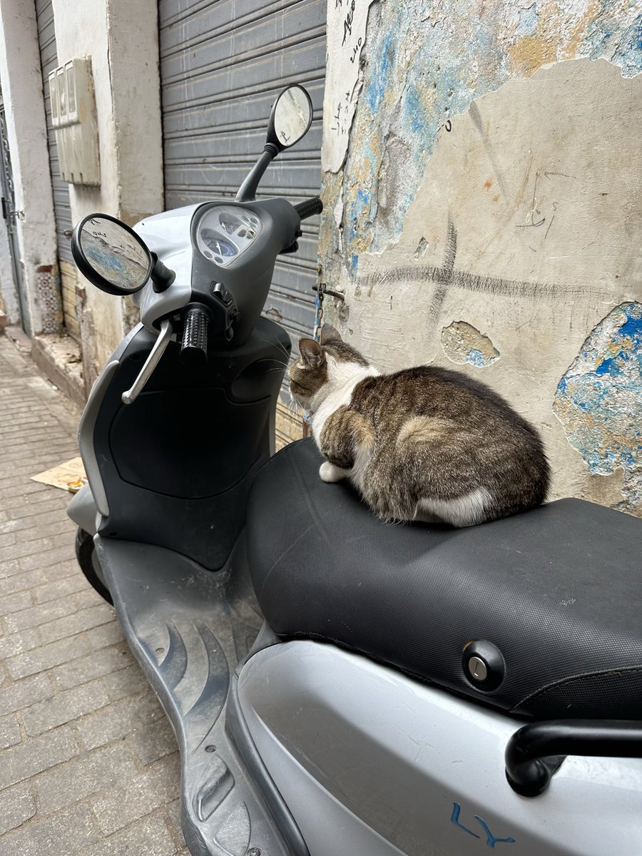 blipshift tweet media