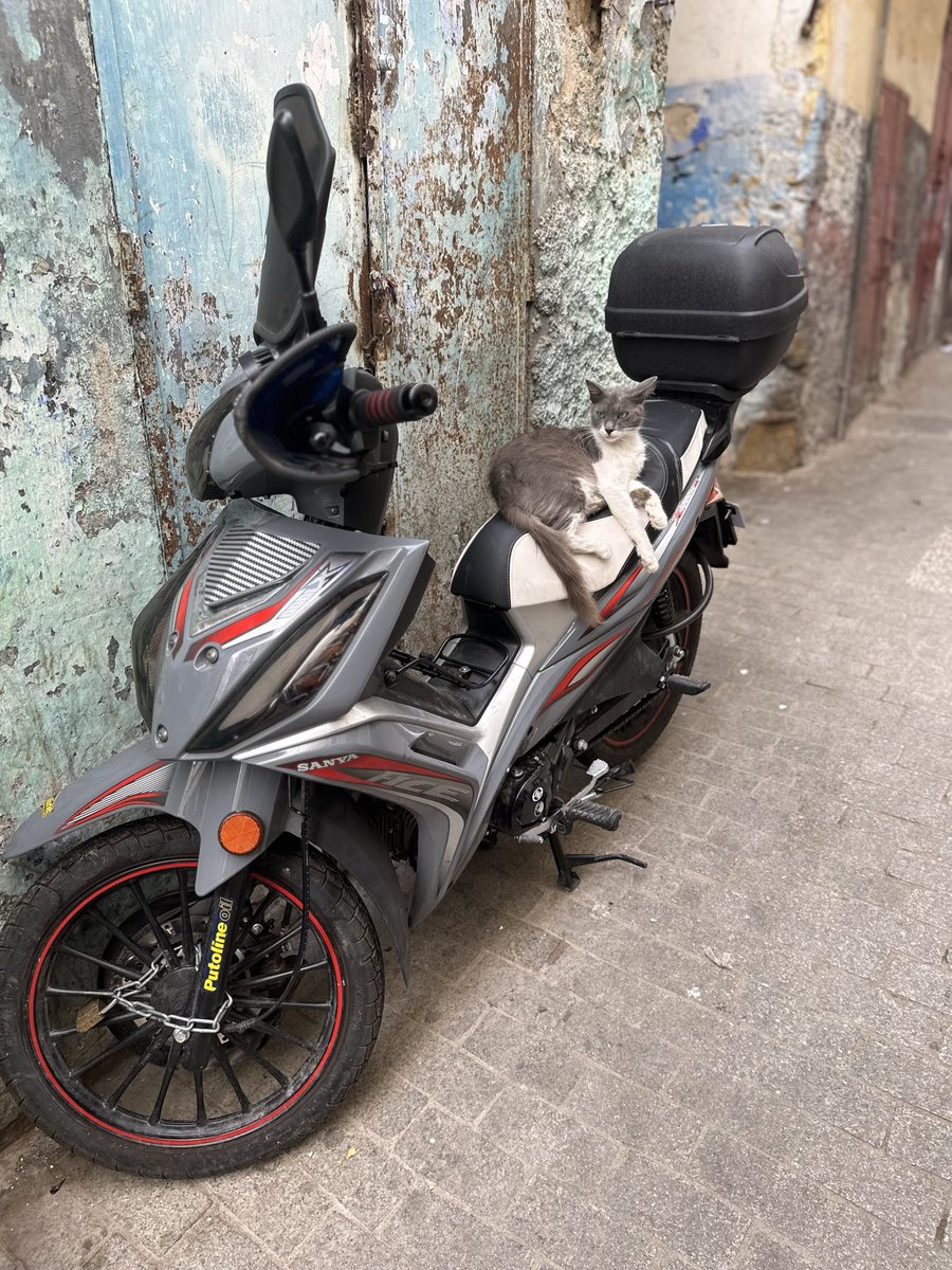 blipshift tweet media