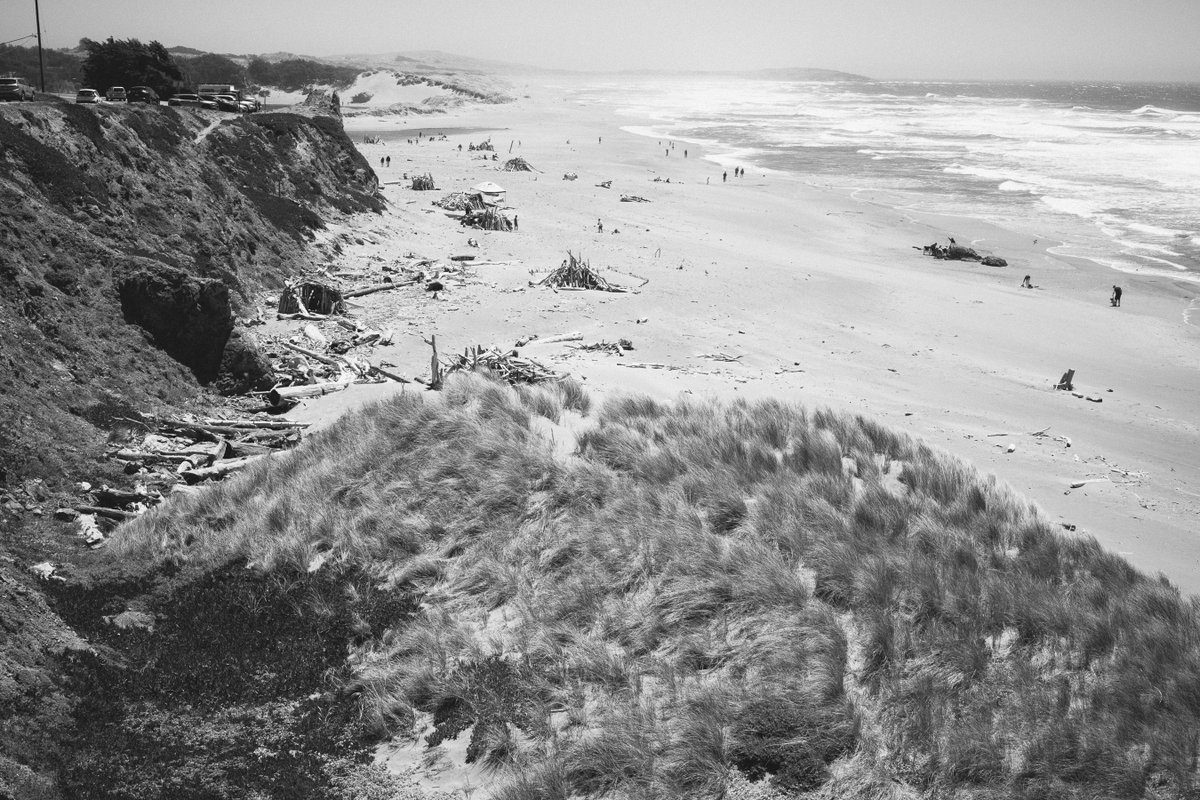 The loose necklace around her neck was now empty, and the pendant was nowhere to be found. The discovery left her devastated. She called me, her voice shaky and upset, “I am literally sick.” They spent the remaining time searching the trails and the beach but had no luck.