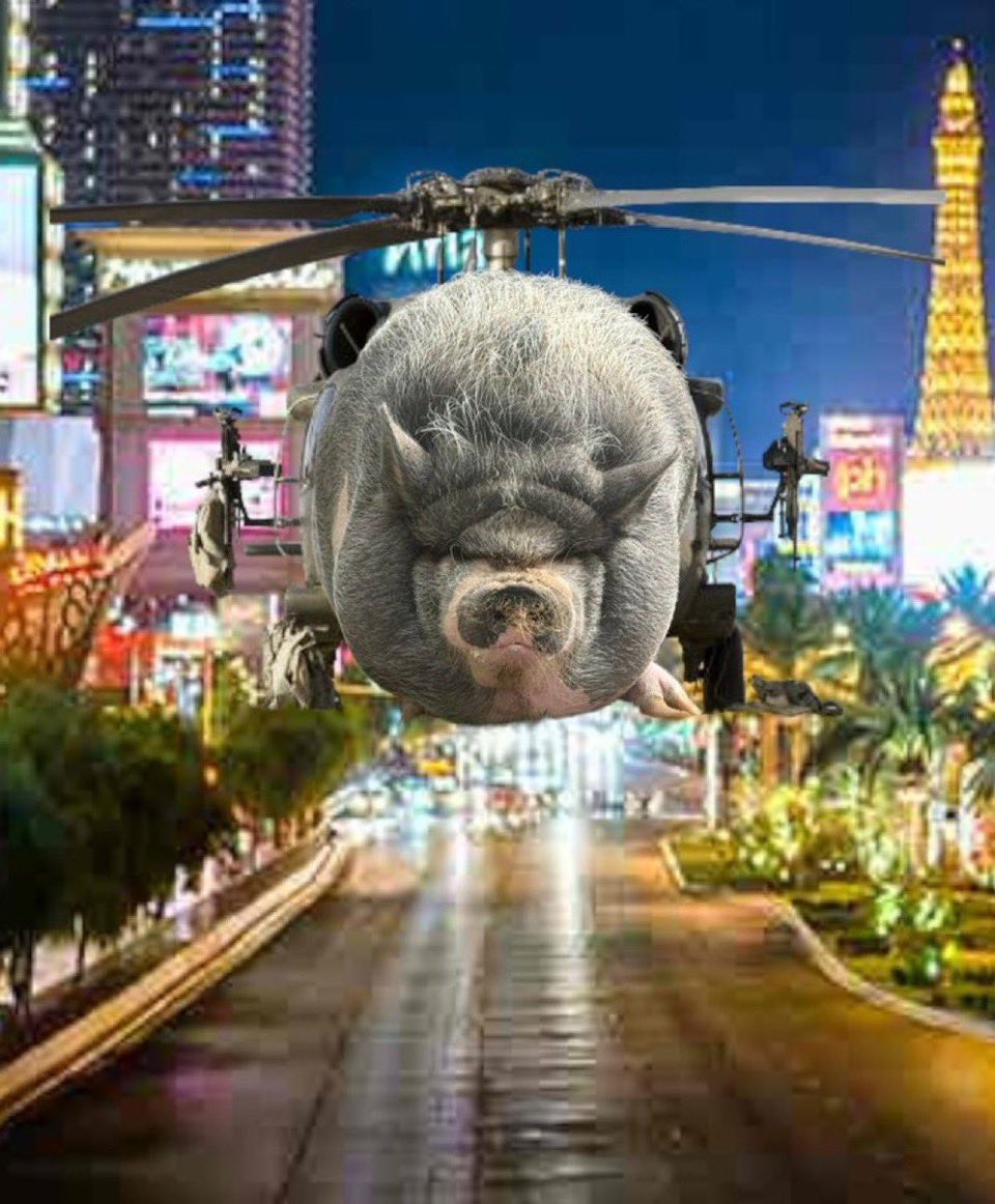 jo5htheboss's tweet photo. A lot of people gave up on $NIKE this weekend but we also have a massive influx of new holders who were just waiting for the perfect buying opportunity 

You may not like this but the pig to a billion is a quest that will take many days

I’m here for the long run, this is a billion dollar pig whether you like it or not

Jeets will pay, they never understood the vision