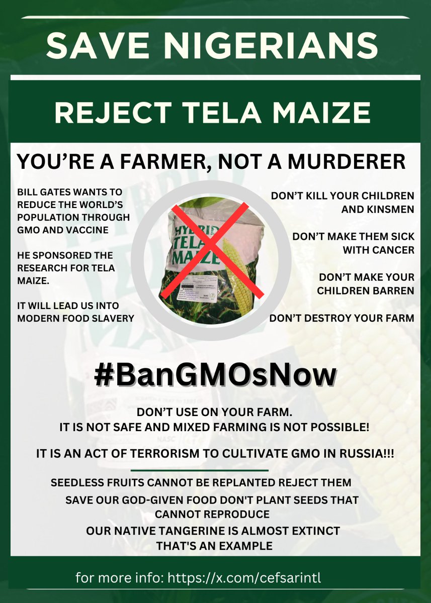 tyoumikures's tweet image. Nigerians, wake up!
Do NOT be deceived!
There's nothing "safe" about Tela Maize!

#BanGMOsNow