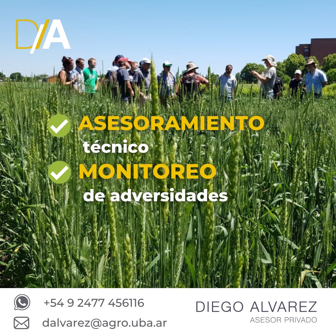 DA - Asesoramiento Agronómico (@diegohalvarez79) on Twitter photo 📊Si necesitás asesoramiento técnico y monitoreo de adversidades para evaluar tus cultivos, contactame!
📱Cel: +54 9 2477 456116
📧 Email: dalvarez@agro.uba.ar
#agro #agronomia #asesoramientoagronomico #serviciotecnico #IngAgrDiegoAlvarez 📊Si necesitás asesoramiento técnico y monitoreo de adversidades para evaluar tus cultivos, contactame!
📱Cel: +54 9 2477 456116
📧 Email: dalvarez@agro.uba.ar
#agro #agronomia #asesoramientoagronomico #serviciotecnico #IngAgrDiegoAlvarez