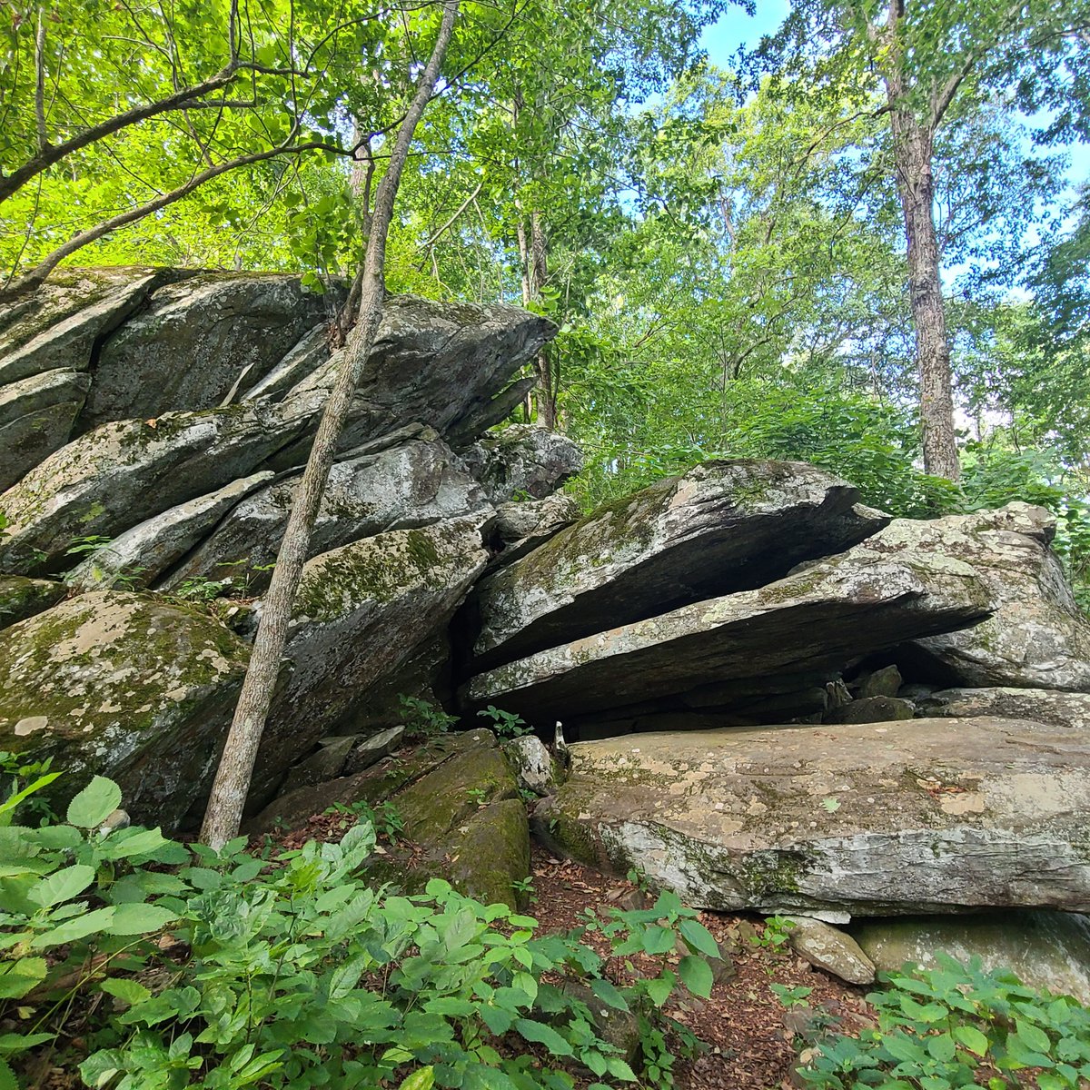 BKismyname72's tweet photo. #AlphabetChallenge
#WeekA 'art' 
Courtesy of Mother Nature. Does that work, Sheena? 😁 https://t.co/6qUpMxQmPo