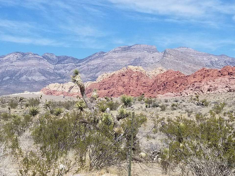 Angela M. Brommel tweet media