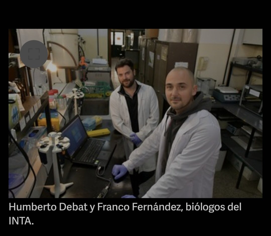 La plaga que azotó el cultivo de maíz en la última campaña encontró un rival de peso: el INTA. Lograron secuenciar el genoma del insecto, abriendo el camino para su control y la protección de la producción. ¡El INTA, un pilar fundamental para el desarrollo del campo argentino!