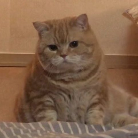 กิ๋มแก๋ม tweet media