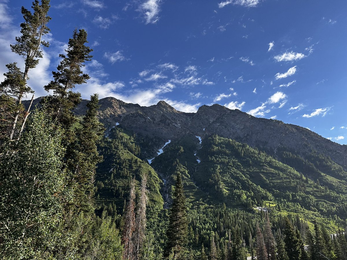 steveplusc's tweet image. Phenomenal views running in @Snowbird this morning.