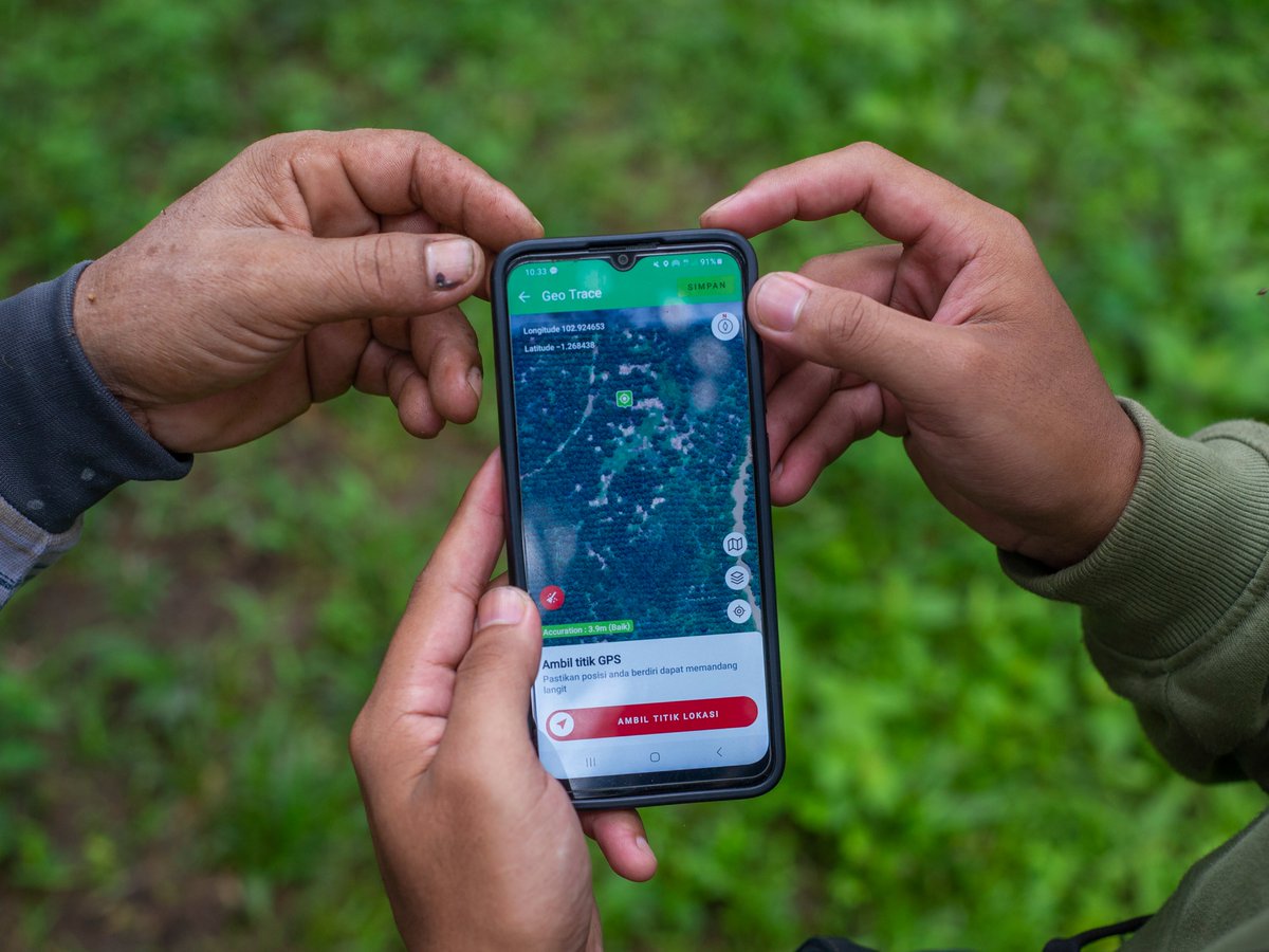 #FONAP  supports enhancing traceability for small-scale oil palm farmers in #Indonesia. 🌴📲

 <a href="/Koltiva/">Koltiva</a> assist small-scale farmers in mapping their plantations using a mobile application. 

Learn more: 👉forumpalmoel.org/en/member-proj…