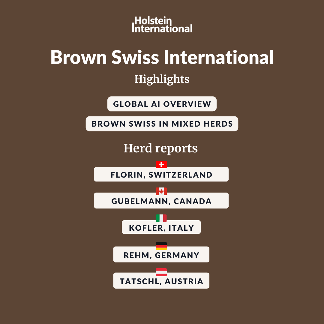 Holstein International tweet media