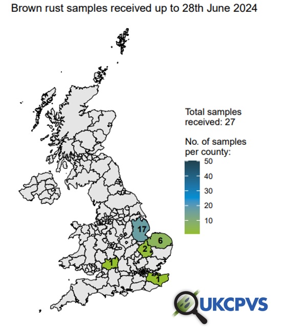 The #UKCPVS won't be able to work out if anything is going on with the wheat brown rust population unless they receive samples. If you are in any of these underrepresented regions, please send in a sample! niab.com/sites/default/… #please #thankyou <a href="/AHDB_Cereals/">AHDB Cereals</a>