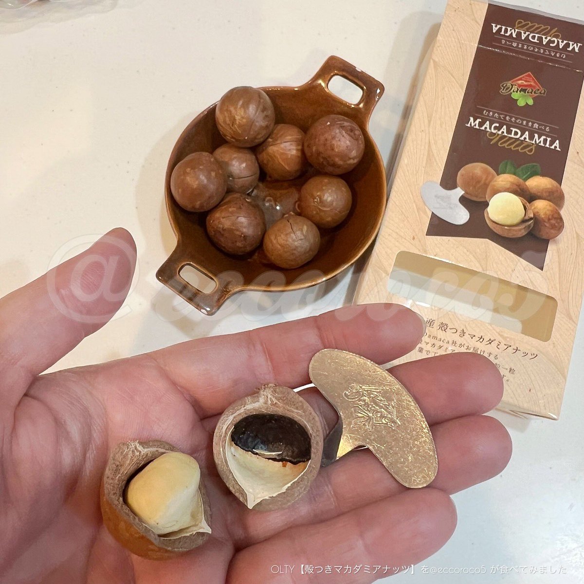 eccoroco5's tweet photo. 🏷コエタスのモニターキャンペーンでもらった【OLTY 殻つきマカダミアナッツ】についてのレビューです🎁 ˎˊ˗
むきたてをそのまま食べるナッツ🥜
うーん、おいしい🤤
ほどよいみずみずしさがあるんだよなぁ。これが美味。
15粒ほど入っているのもコスパいい!
#コエタス #PR #podo #olty #オルティー https://t.co/PoX2Ja4PWI