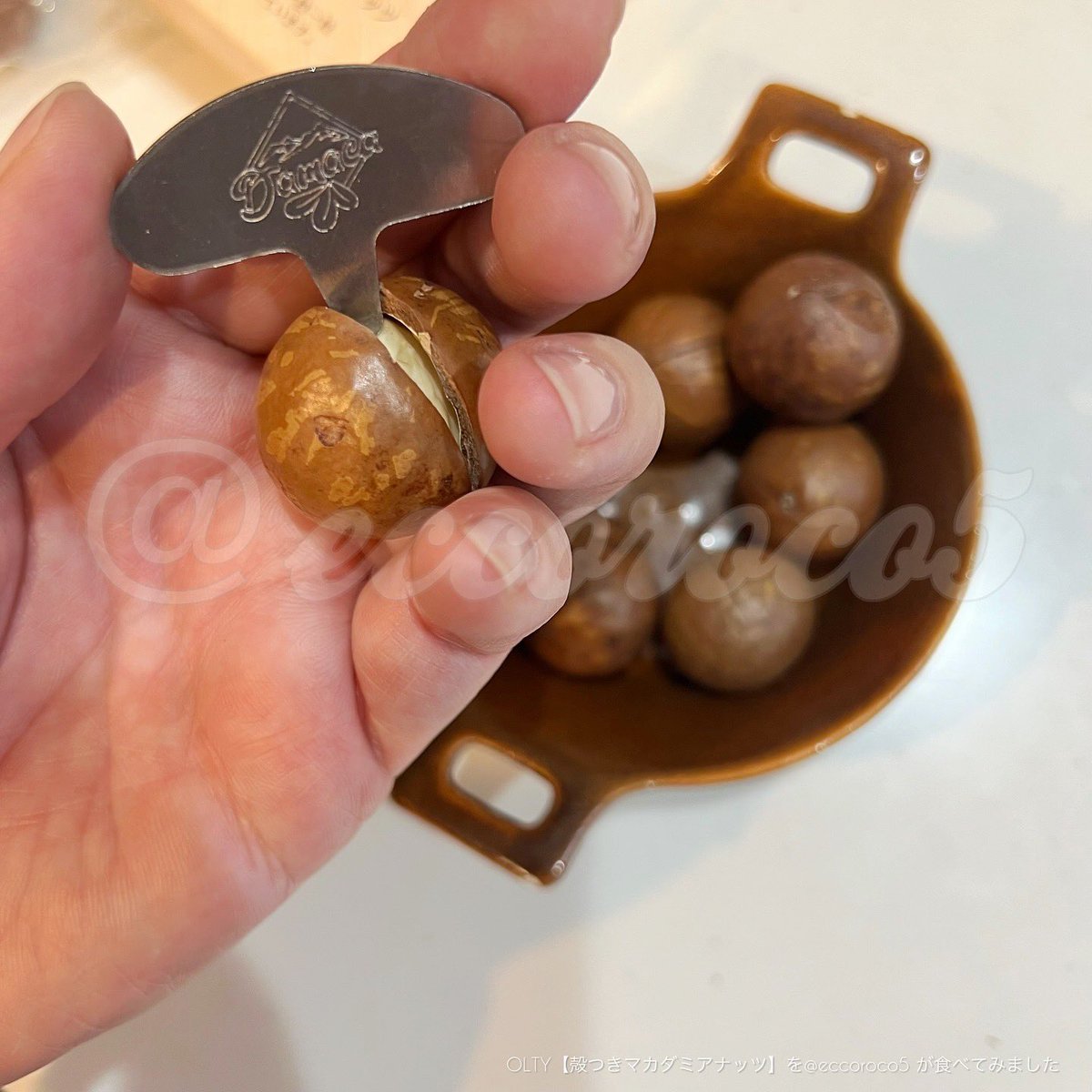 eccoroco5's tweet photo. 🏷コエタスのモニターキャンペーンでもらった【OLTY 殻つきマカダミアナッツ】についてのレビューです🎁 ˎˊ˗
むきたてをそのまま食べるナッツ🥜
うーん、おいしい🤤
ほどよいみずみずしさがあるんだよなぁ。これが美味。
15粒ほど入っているのもコスパいい!
#コエタス #PR #podo #olty #オルティー https://t.co/PoX2Ja4PWI