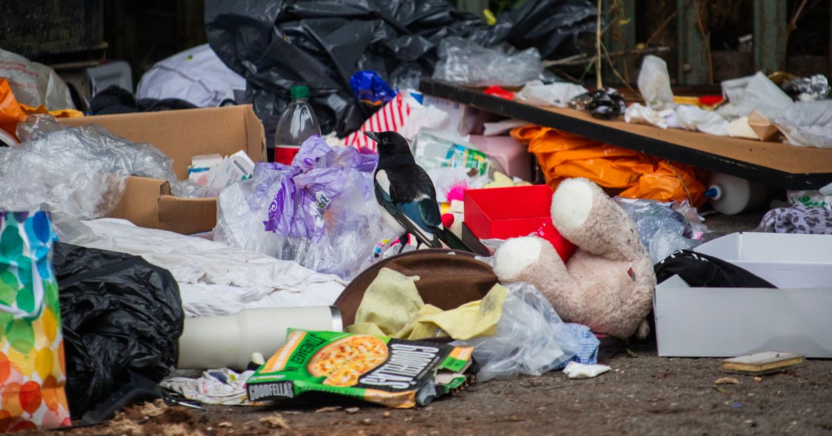 Leicester Updates tweet media