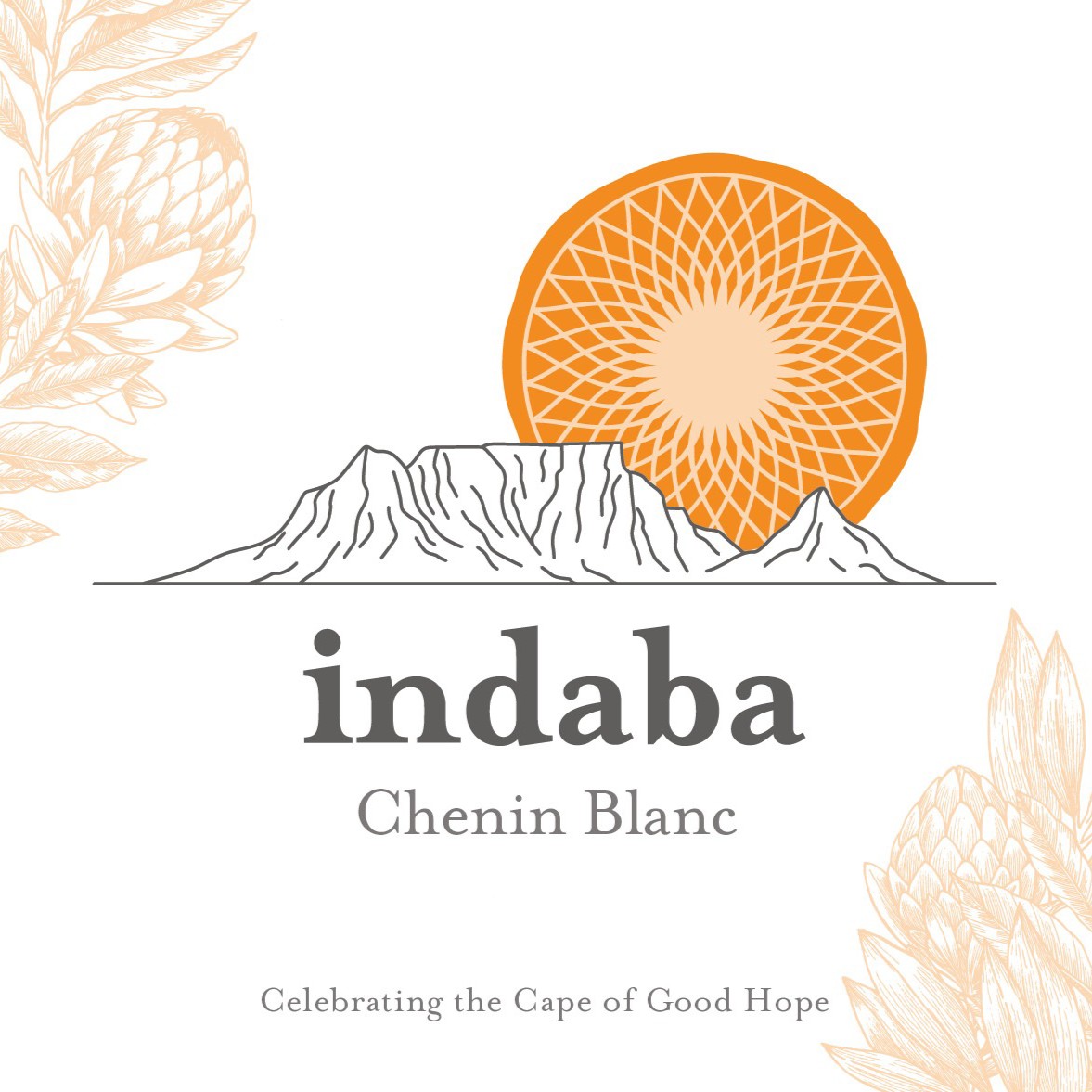 indabawines tweet media