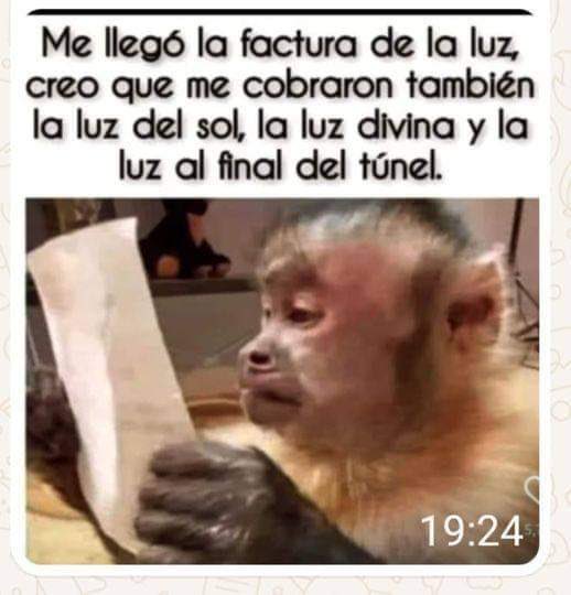 HeliaMolina_M's tweet photo. https://t.co/Y6ZCFOKo64
