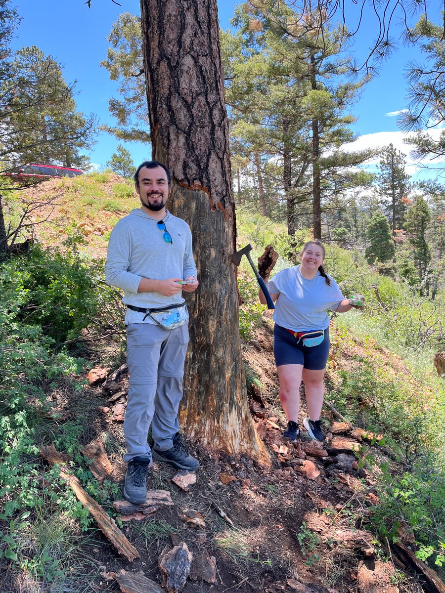 Ryan Bracewell tweet media