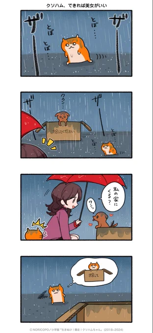 第3話「晃太郎くんとの出会い」③
#クソハムちゃん 