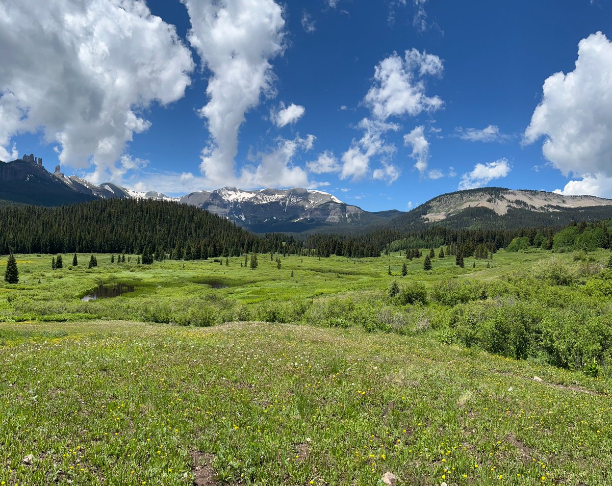 Ryan Bracewell tweet media