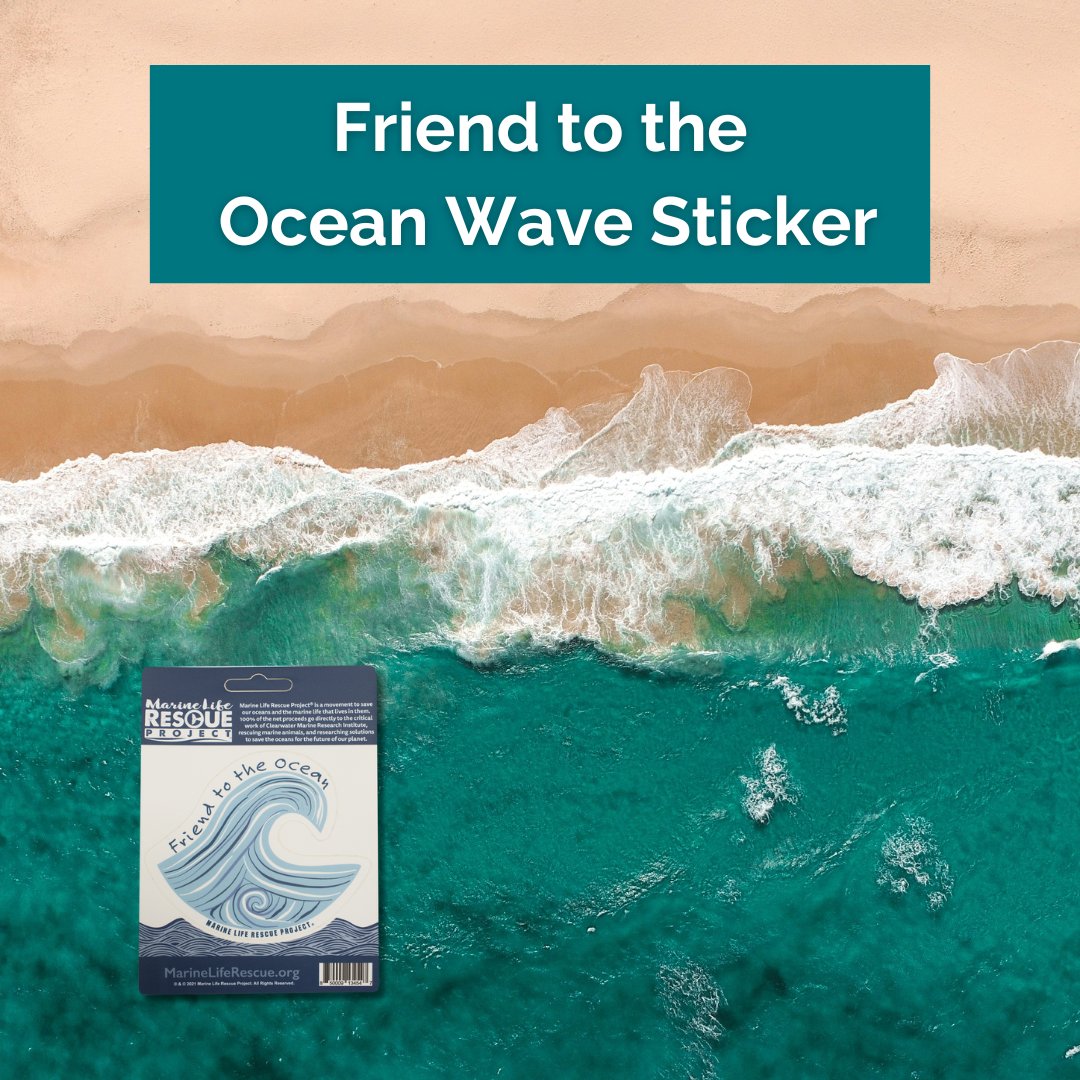 MLRProject's tweet image. Choose a gift that gives back this #PlasticFreeJuly! Support our mission to safeguard the oceans. 100% of net proceeds benefit the Clearwater Marine Aquarium Research Institute. It fund our essential work in rescuing marine animals and researching solutions to save our oceans!