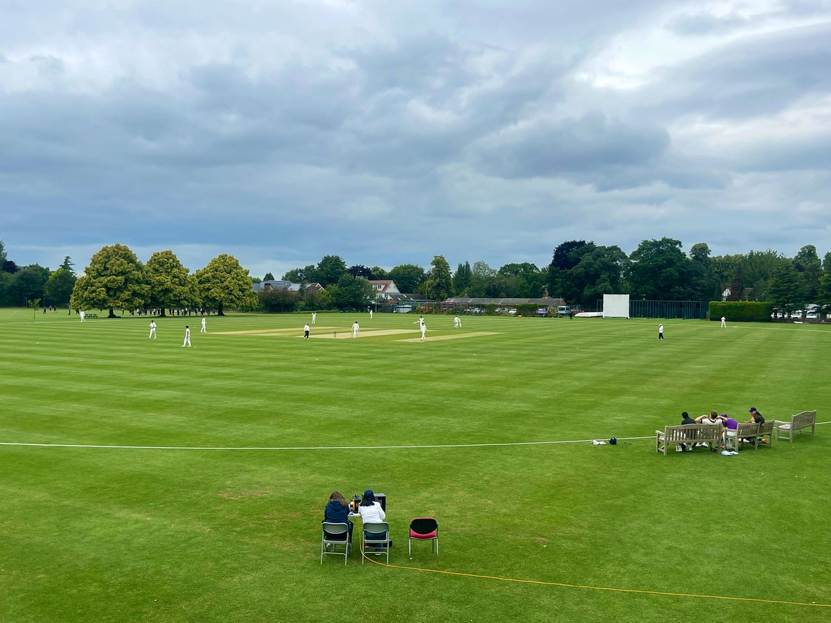 Perse Cricket tweet media