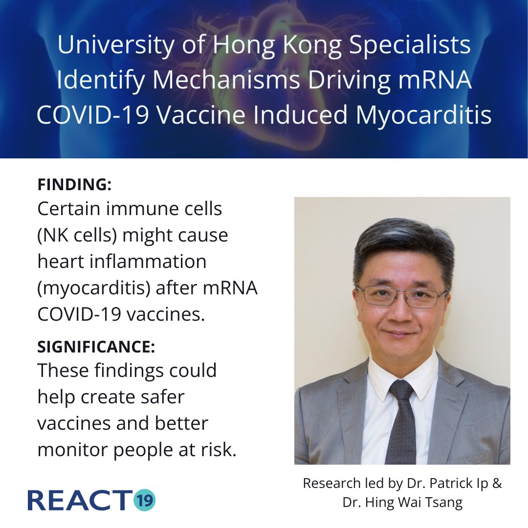 React19org's tweet photo. Researchers at the University of Hong Kong have discovered that NK cell activation is key in mRNA COVID-19 vaccine-induced myocarditis, especially in young males after the second dose.
Their findings could lead to safer vaccines and better monitoring of vulnerable patients.
Will the drug companies evaluate this research to make their products safer?
Read more about the study here: https://t.co/EpRl5RrrKT