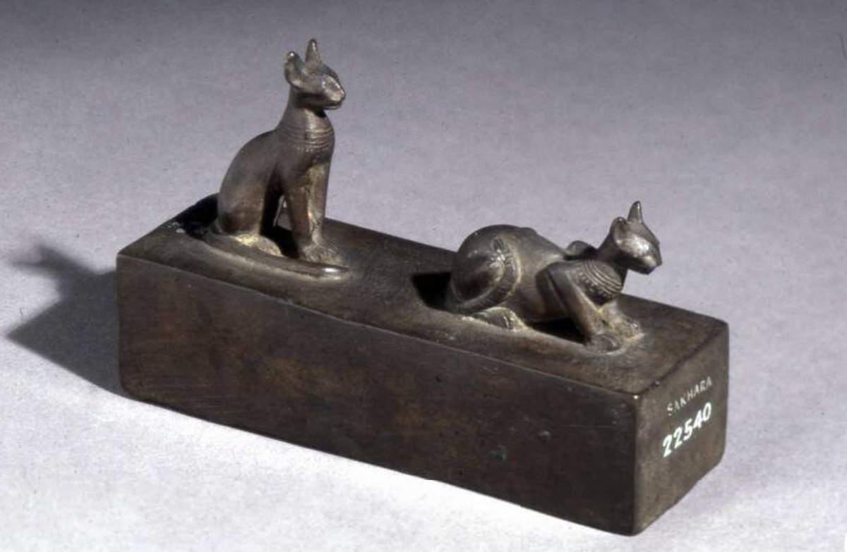 Marie Vandenbeusch tweet media