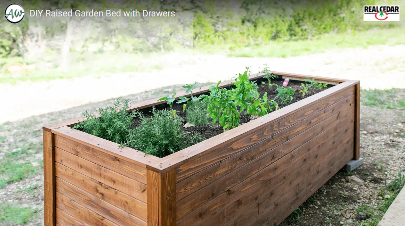 LumberBuffalo's tweet image. Cedar raised garden bed DIY weekend project at hubs.li/Q02DxNWx0 DIY Projects tab.
#realwood #cedarlumber #becreative #sustainablebuilding #summerdayz #diy #woodlovers