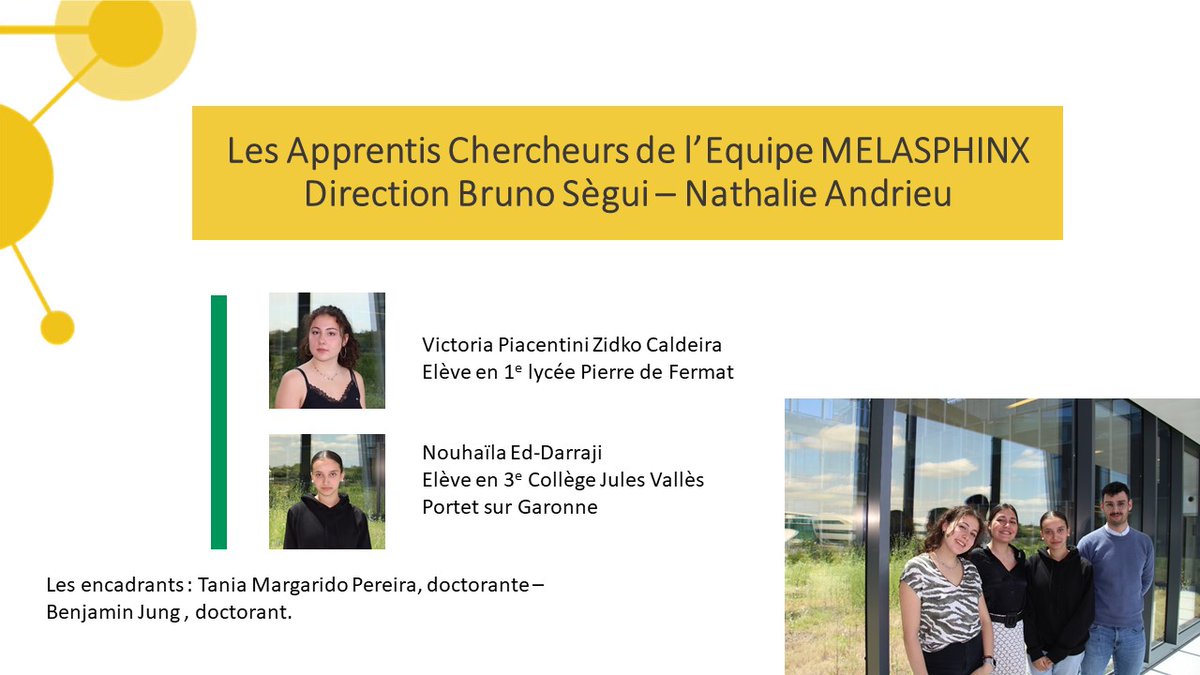 crctoncopole's tweet image. [4/8] les apprentis chercheurs (APC) du CRCT en vidéo saison 2.@crctoncopole,@ArbreDC. Présentation des apprentis chercheurs de l'équipe MELASPHINX @melasphinx lors du congrès des APC le 28 juin 2023. ➡️youtu.be/YQJzZayIrkY