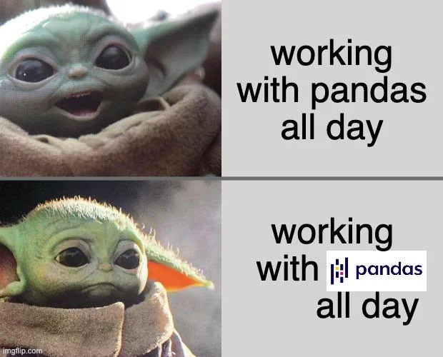 🐼

Original seen on /ProgrammingHumor on Reddit.