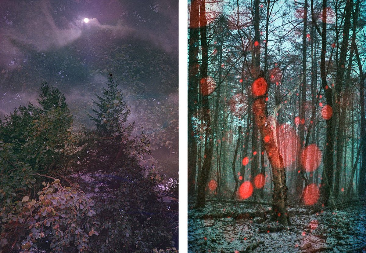 another | place tweet media