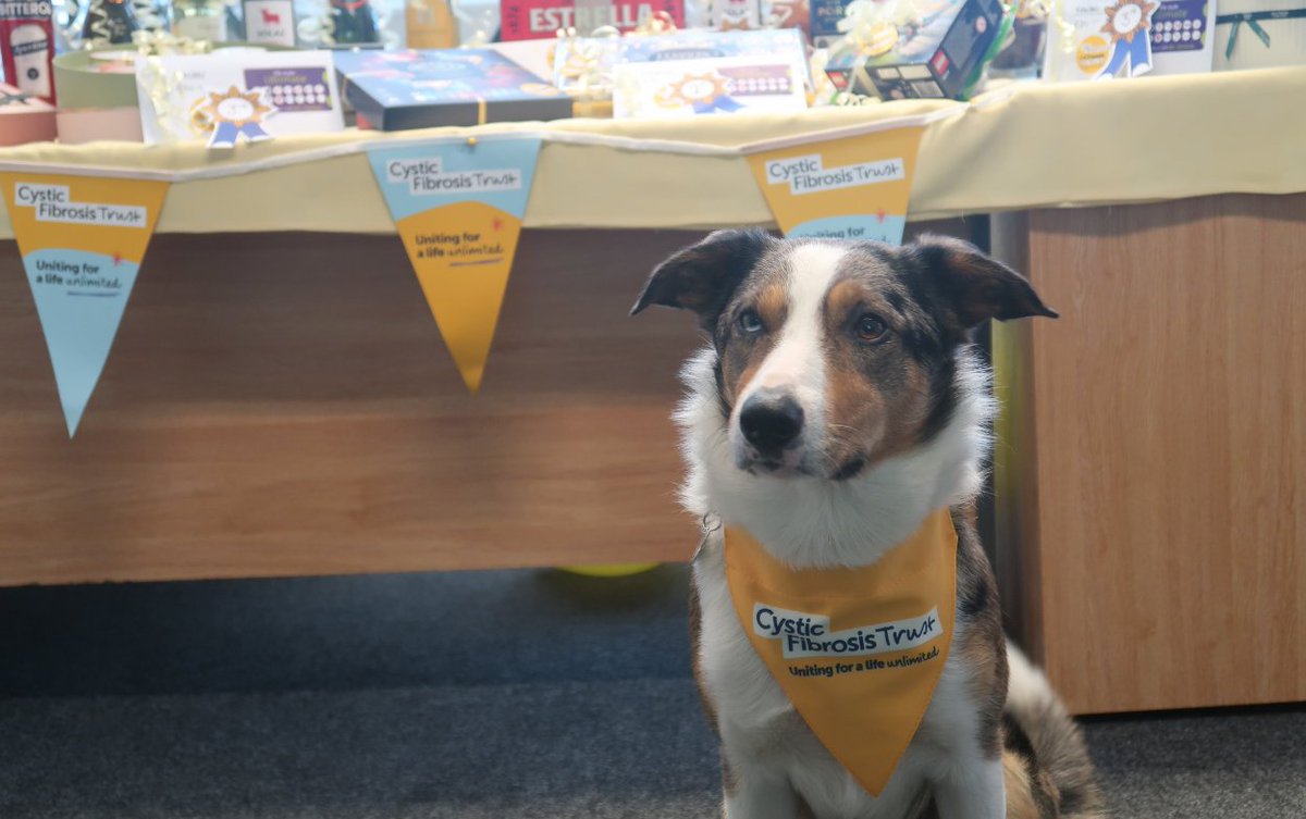 TyseleyEnergy's tweet photo. Wear Yellow Day for Cystic Fibrosis was a HUGE Success!  We’ve had an amazing time supporting this important cause!💛

Our team brightened up the office by wearing yellow! The bake sale included delicious homemade treats, and the raffle raised over £1000!

#WearYellowDay https://t.co/SC80v8FuPi