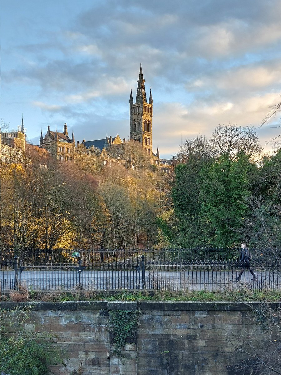 Harry De Koning tweet media