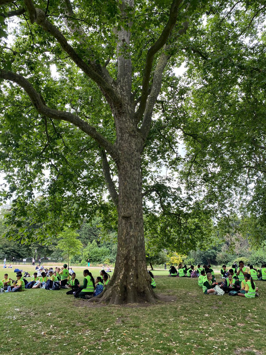 STMM20's tweet image. Y6 certainly hit their step count today as they made their way around the main attractions in Central London 🎡, filming for their documentary-style videos en route 🎬! Smiles all round as they enjoyed their well-deserved refreshment to finish the day 🍦🥤 #GeographyTrip