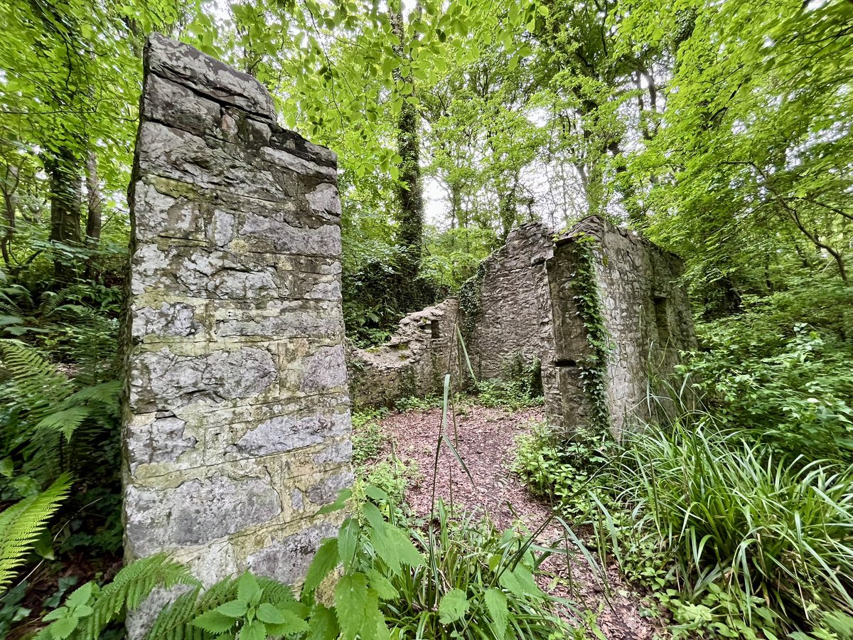 A beach &amp; woodland stroll at Llanina Point in Ceredigion yesterday. West is best! 🏴󠁧󠁢󠁷󠁬󠁳󠁿 <a href="/Ruth_ITV/">Ruth_TV</a>
