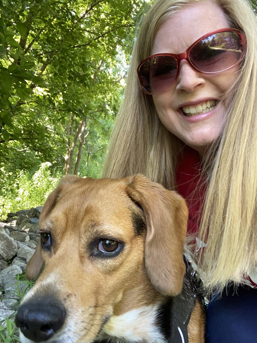 Happy 🇨🇦 Day! <a href="/OakleighBeagle/">Oakleigh the beagle</a> #beagle #CanadaDay