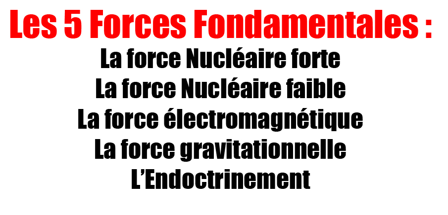 XellossFR's tweet photo. @matetejlaquitte @AfoutK @ElDedoEnDios @Anssopy "Ptdrrr tu m’étonnes que tus sois orphelin"
la puissance de l'endoctrinement.... https://t.co/7CwUURaap0