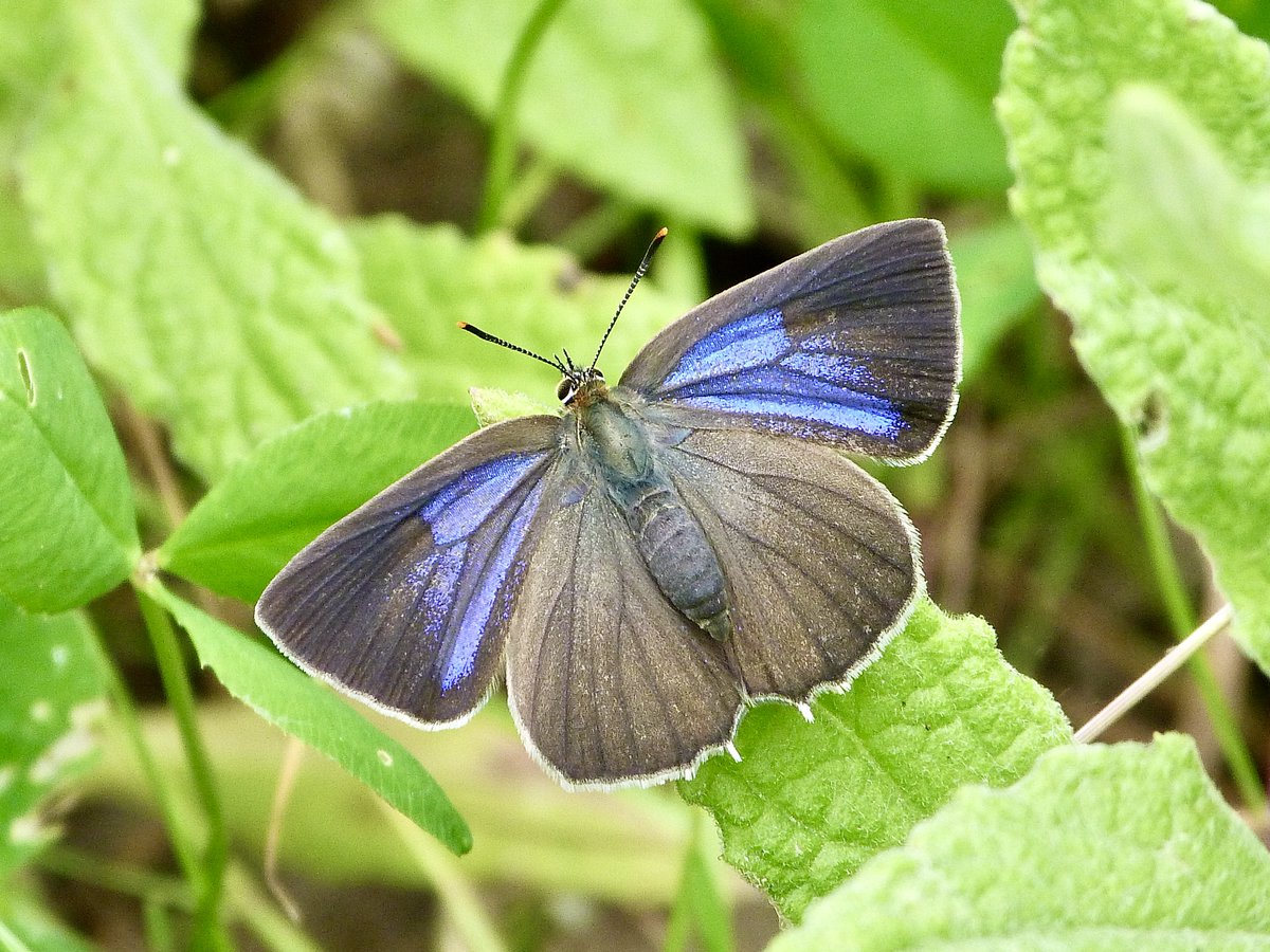 Dr Dan Danahar tweet media