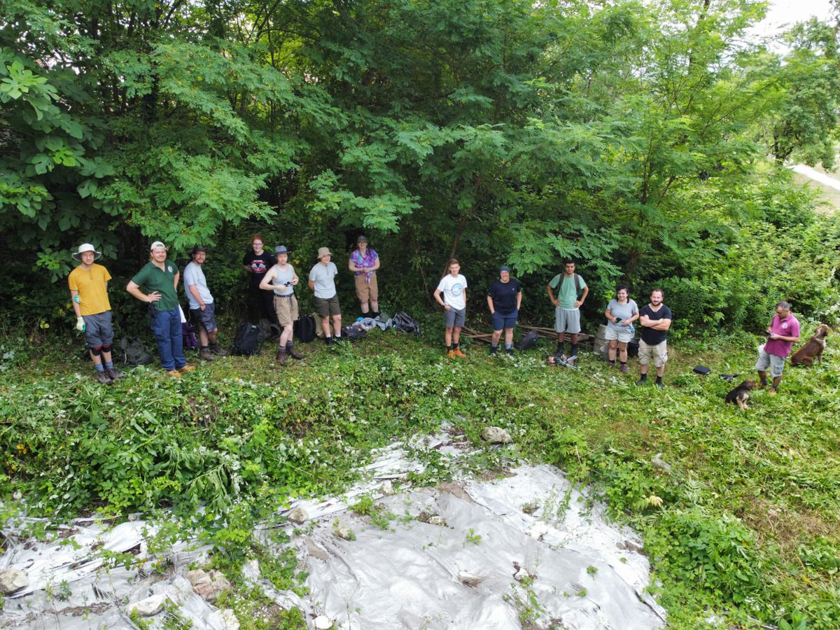 Nokalakevi's tweet image. Day 1 of NOK24: Having settled in over the weekend it’s time to start work. The first task for the team is to clear all the vegetation from around the trenches!