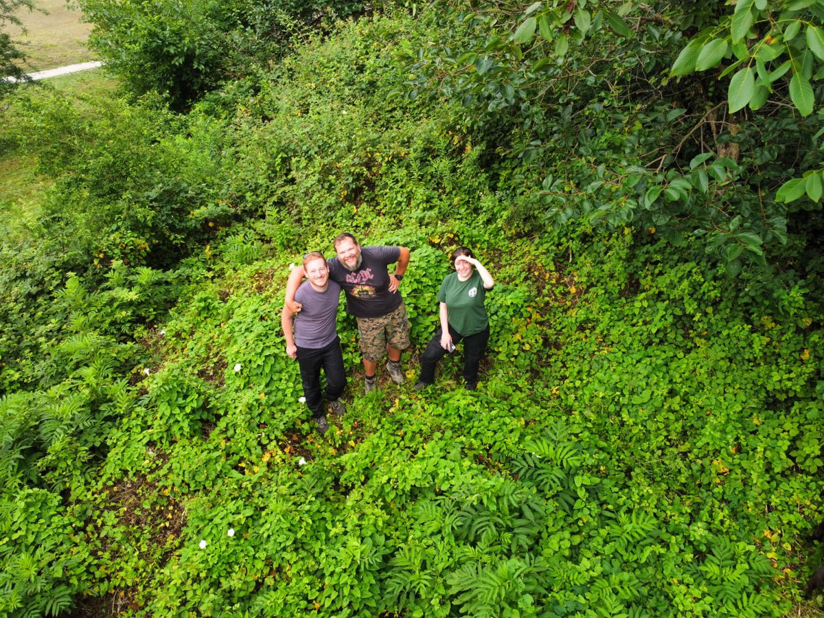 Day 1 of NOK24: Having settled in over the weekend it’s time to start work. The first task for the team is to clear all the vegetation from around the trenches!
