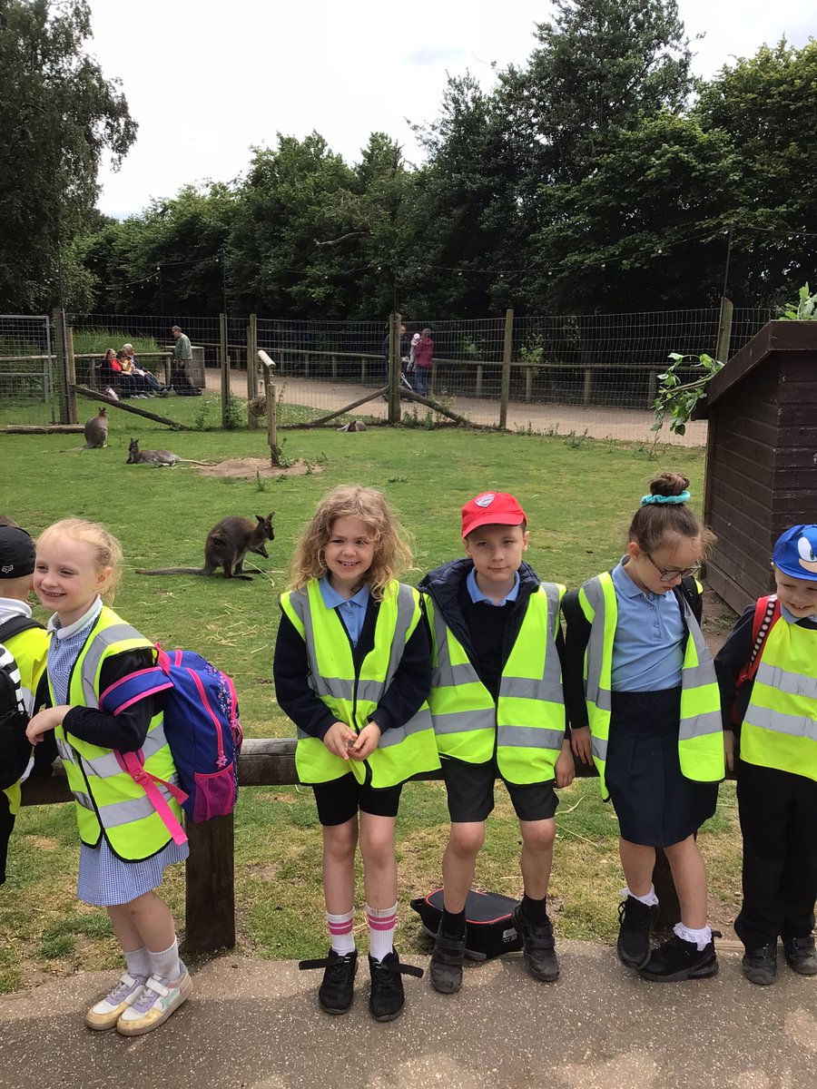 Y1 Blue Class-Beighton NI tweet media