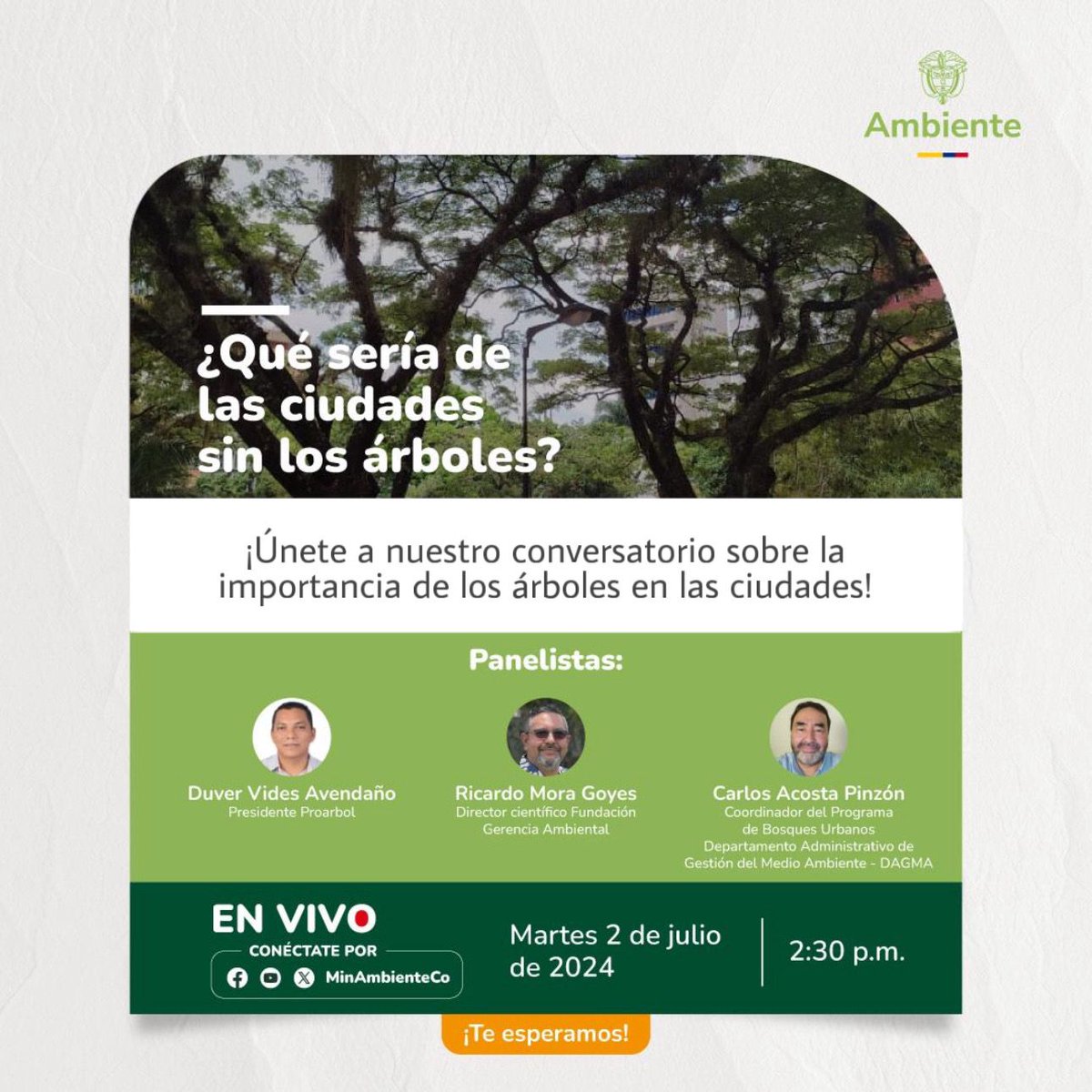 PROÁRBOL tweet media